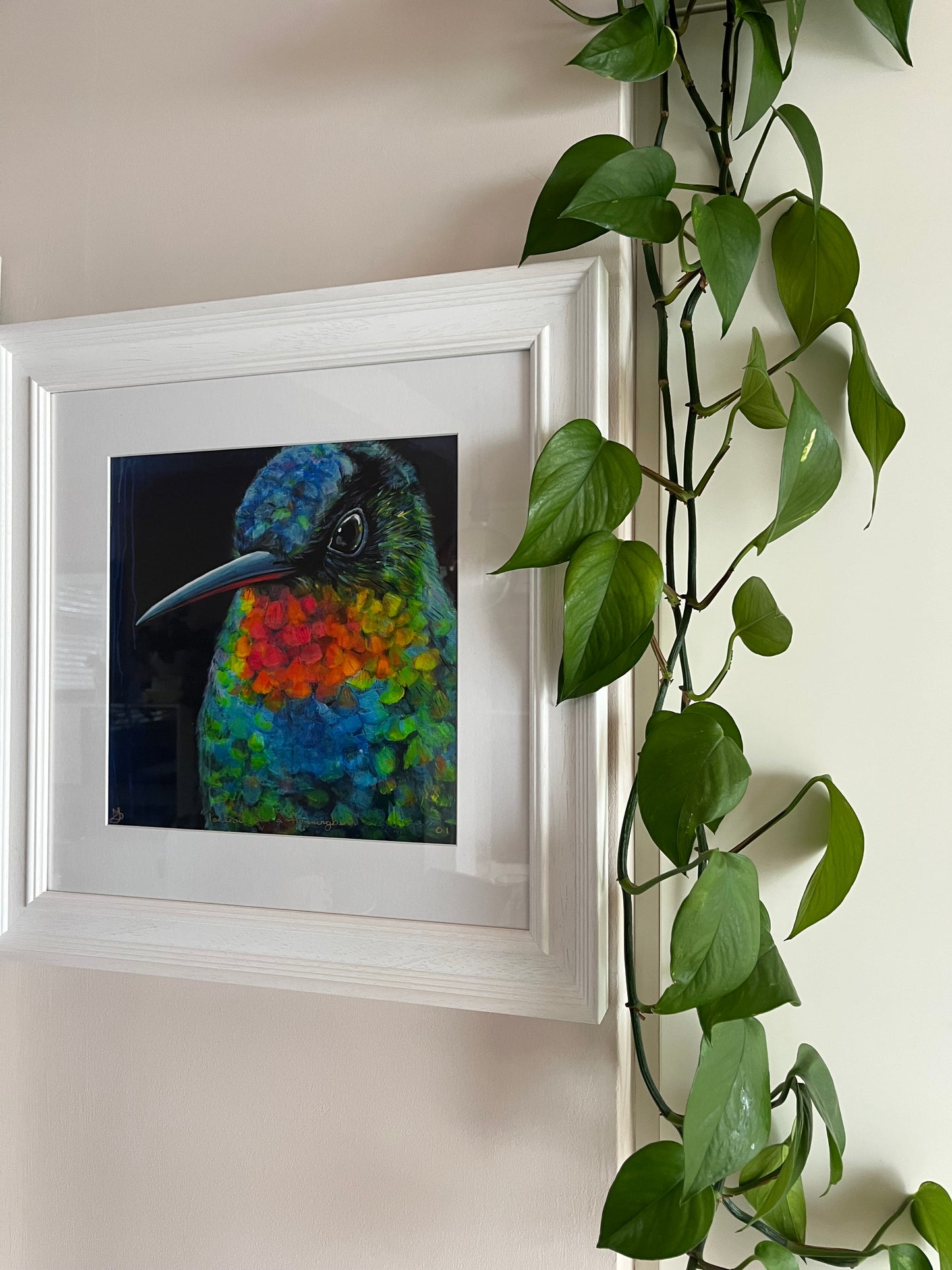 'Portrait Of A Hummingbird' - Limited Edition Print