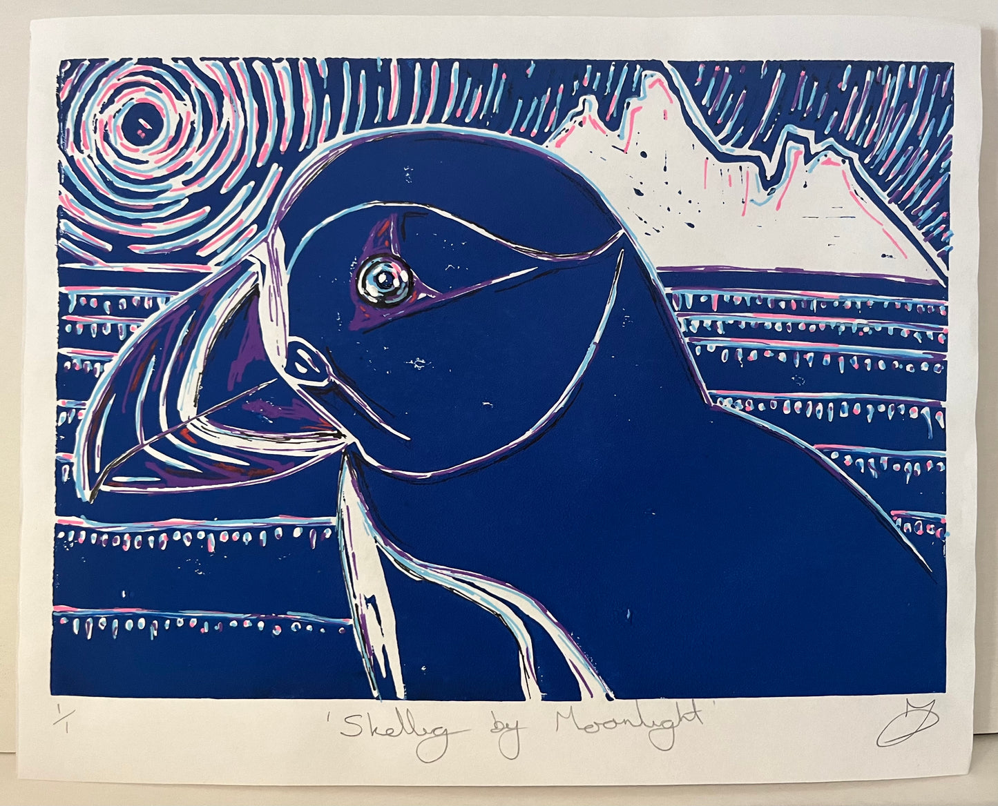 ‘Skellig by Moonlight’