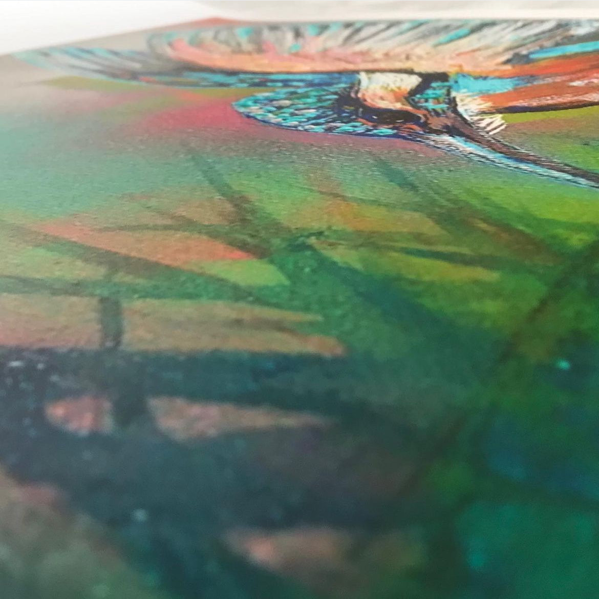 'Kingfisher' Limited Edition Print