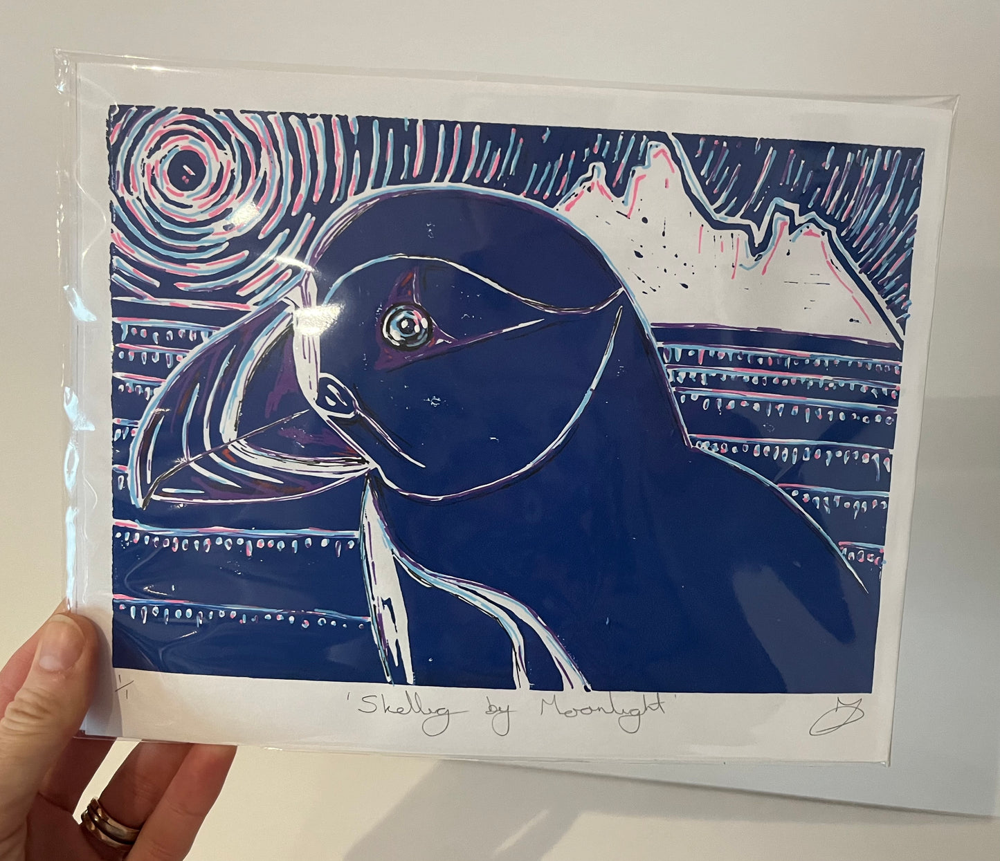 ‘Skellig by Moonlight’