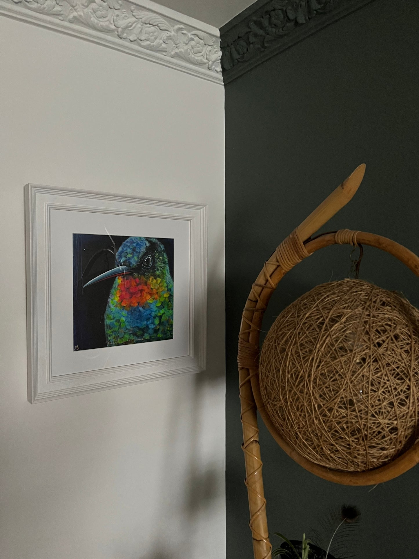 Framed ‘Portrait Of A Hummingbird Limited Edition Print’