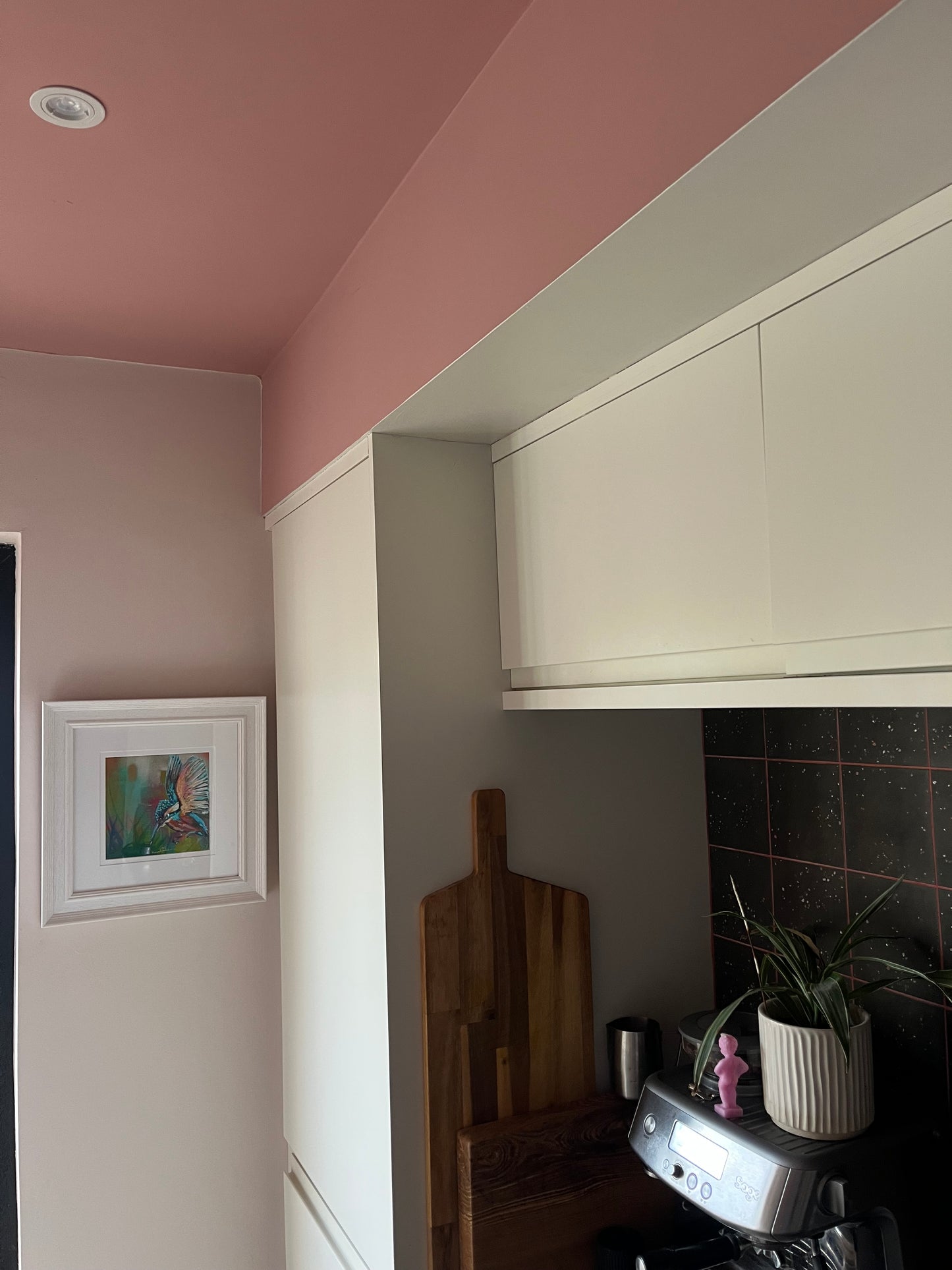 'Kingfisher' Limited Edition Print