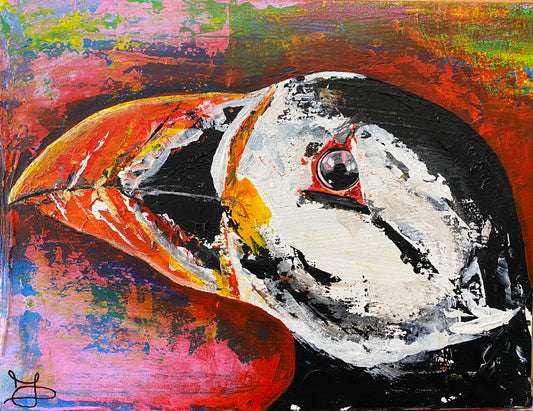 ‘Wee Skellig Puffin’ - Limited Edition Print